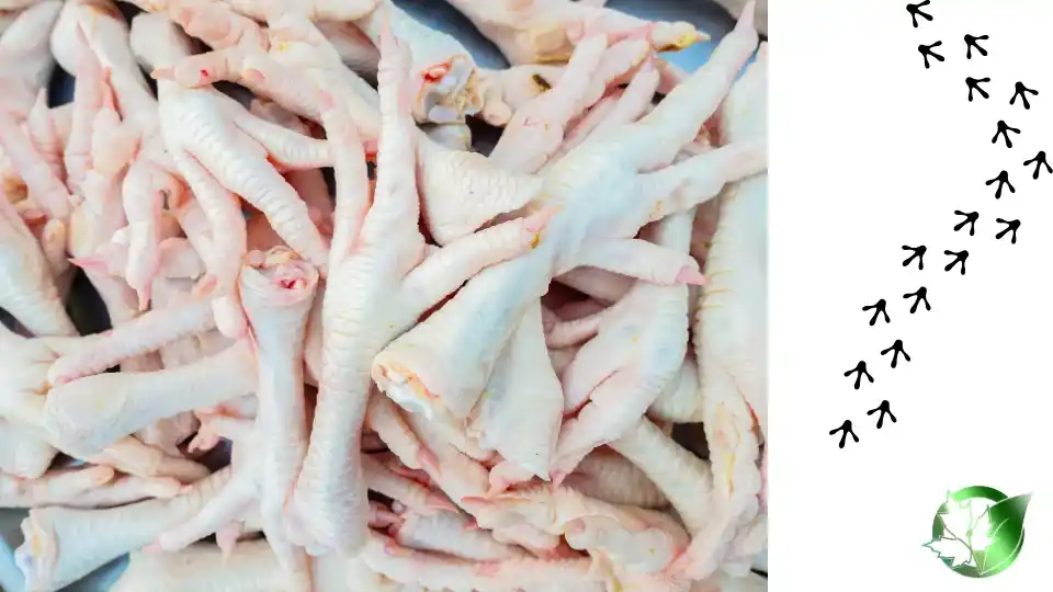 Wholesale packaging for Chicken Feet can be planned for retail, catering and restaurant channels, private-label, or production-line distribution.